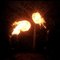 IMG_0146.jpeg