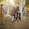 Vampire Weekend