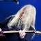 Jeff_Loomis_004