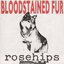 Bloodstained Fur