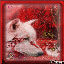 Avatar for Haroldkingcool