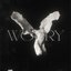 worry (ultra slowed)