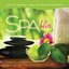 Spa - Bliss: Music for Massage, Yoga, and Sensory Rejuvenation