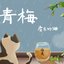 青梅