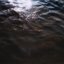 Pure Shores