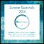 Dimentique Summer Essentials 2014