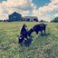 Wisconsin