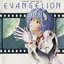 Neon Genesis Evangelion II