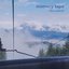 Memory Tape - Single