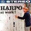 Harpo At Work!