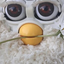 MariselaPixie için avatar