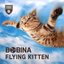 Flying Kitten