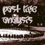 Past Life Analysis 3 (CITRUSPAST003)