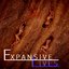 Expansive Lives