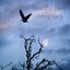 Defying Gravity - Single