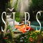 S.L.B.S.