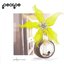 Polyserena (Deluxe 20th Anniversary Edition)