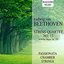 Beethoven Variation (After String Quartet No. 13, Op. 130: II)