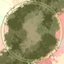 Lichenography II