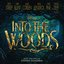 Into the Woods