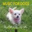 Music for Dogs - Classical Music for Dogs, Dogs Music