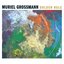 Muriel Grossmann - Golden Rule album artwork