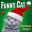 Funny Cat: Christmas Songs