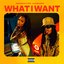 What I Want (feat. Jacquees) - Single