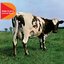 Atom Heart Mother [2011 - Remaster]