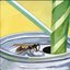 bee in my soda
