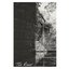 The River - Single
