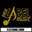 Electronic Crime
