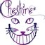 Cheshire*