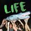 LIFE