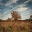 Upstate - Single