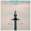 Adesso - Single
