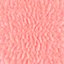 Spores