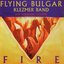 Flying Bulgar Klezmer Band - Fire