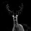 Skinwalker