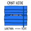 Can't Hide feat. Ashe