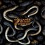 The Serpent's Isle - Single