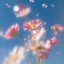 Dreaming Petals (With Water Sounds)