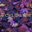 Le Cri Du Mort