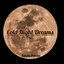 Cold Night Dreams