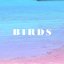 B I R D S