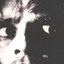 Mothbleed: Death's Gonna Die