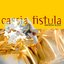 Cassia Fistula