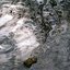 Ways and waves