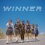 Winner - Single