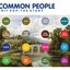 Common People - Brit Pop: The Story